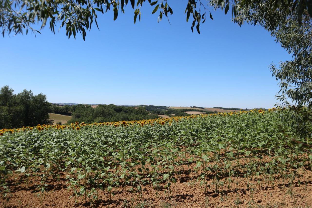 Le Clos Mirelie * Gaujac (Gers)